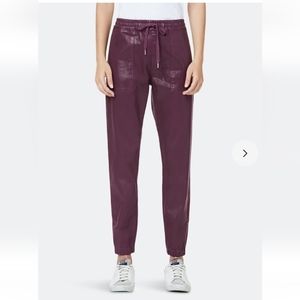 Hudson Utility Jogger in Coated Grape NWT